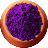Краска Холи «Краска Холи, цвет фиолетовый (100 г)»